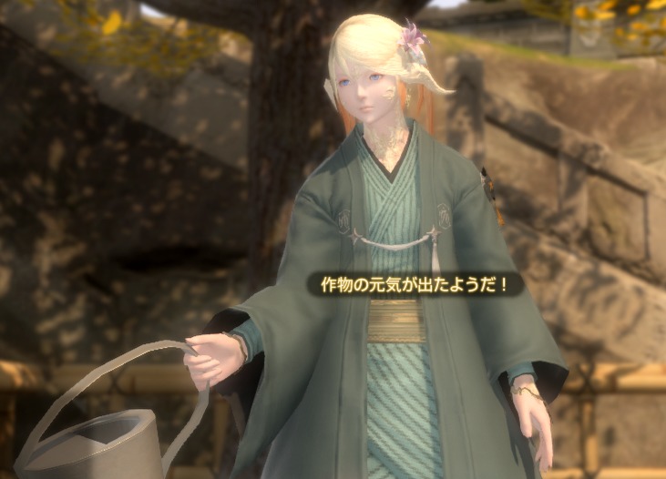 Ff14 Reshadeの設定が難しいのでfreestyleとグループポーズの組み合わせでss撮影 えりしら